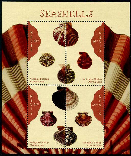 Herrickstamp New Issues Nevis Sc.# 1949 Seashells Sheetlet