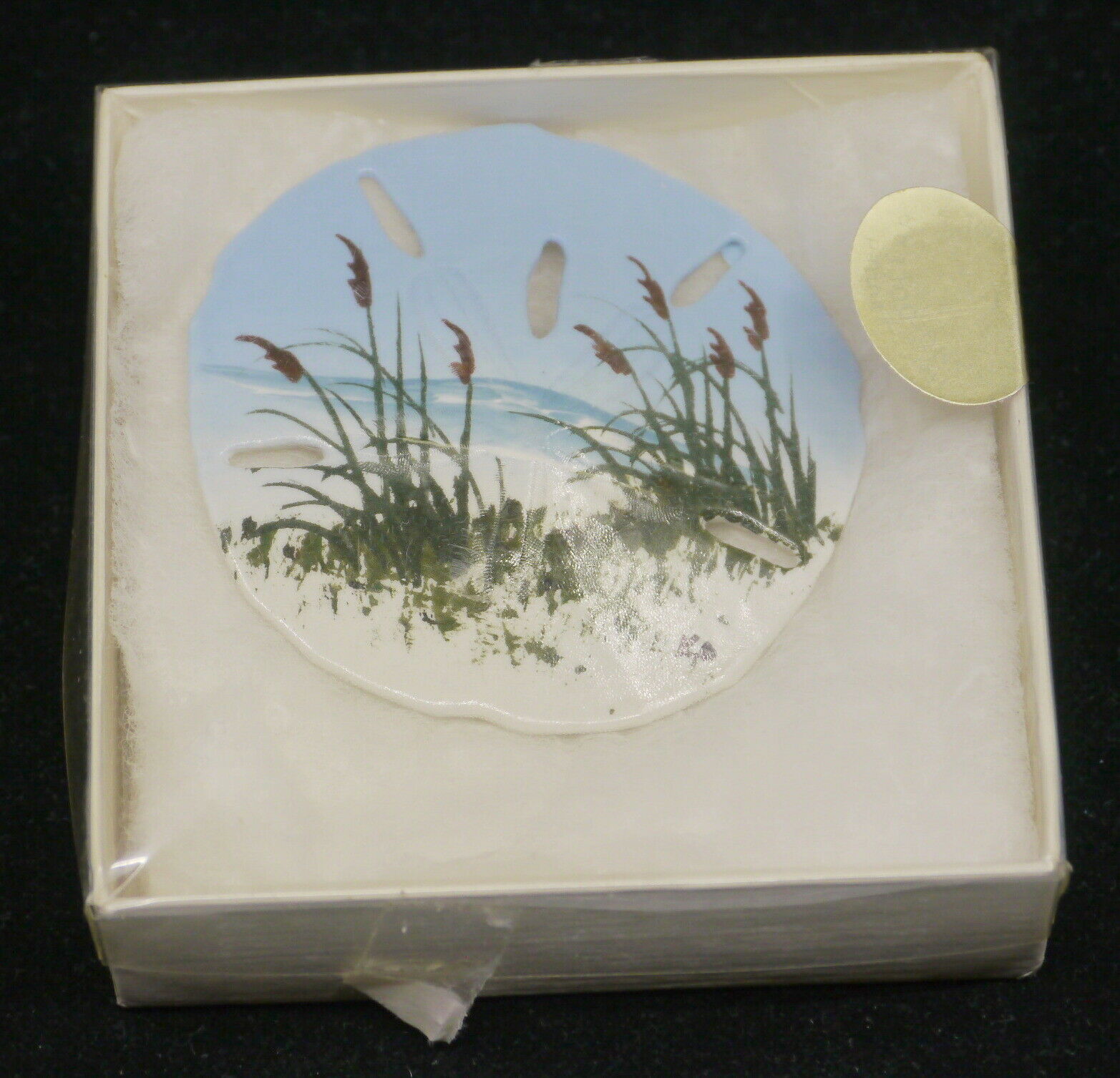 VINTAGE HAND PAINTED, ARTIST SIGNED SAND DOLLAR FROM JEKYLL ISLAND, GA, WITH BOX