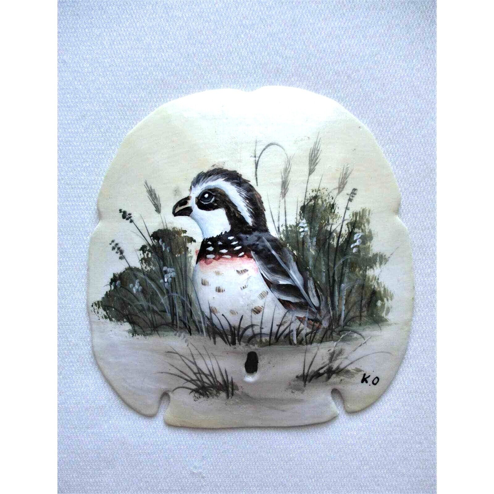 Hand Painted Sand Dollar Baby Quail Bird In Reeds Ornament Or Wall Art Hanging