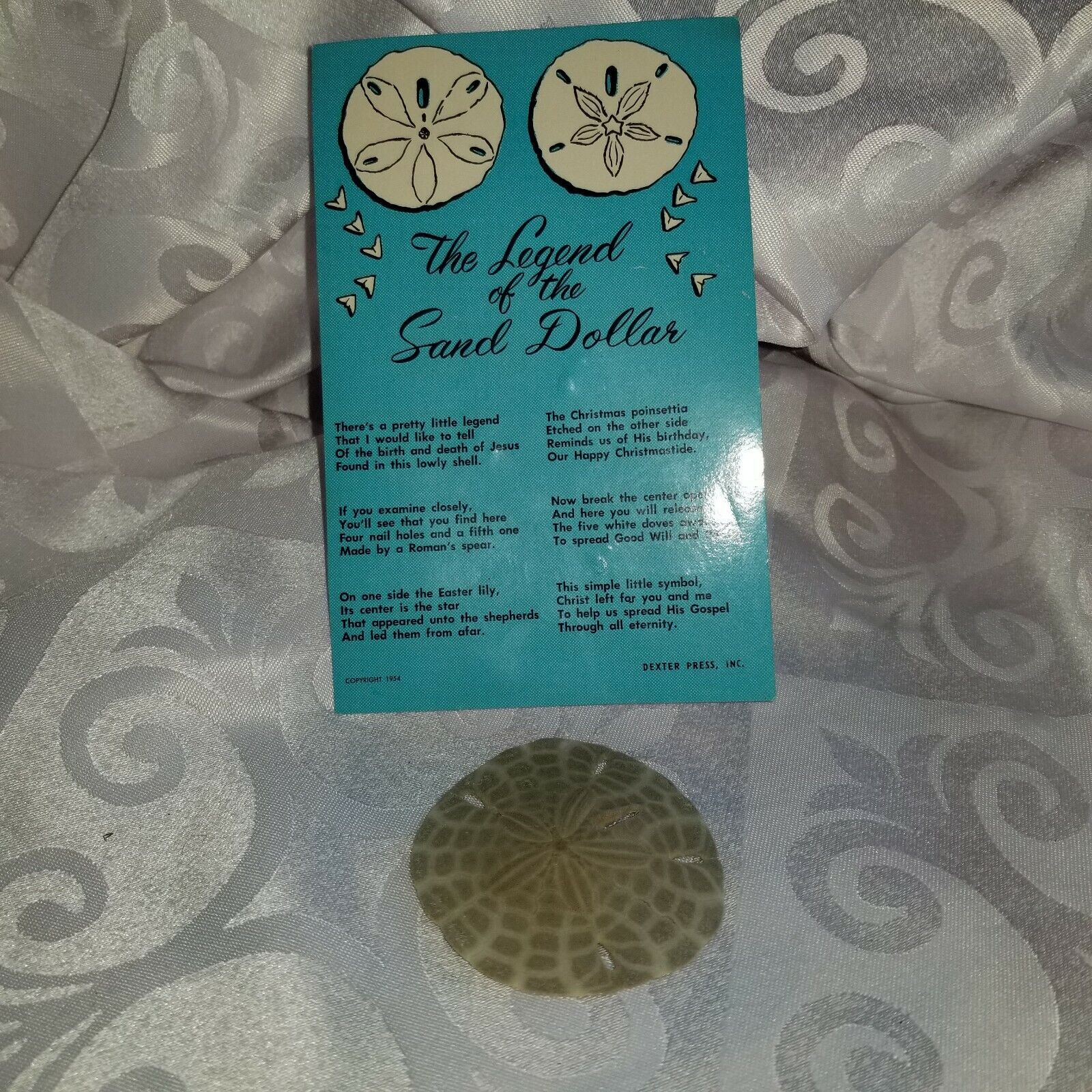 Vintage Post Card The Legend Of The Sand Dollar W/ Sea Shell Sand Dollar 2.5"