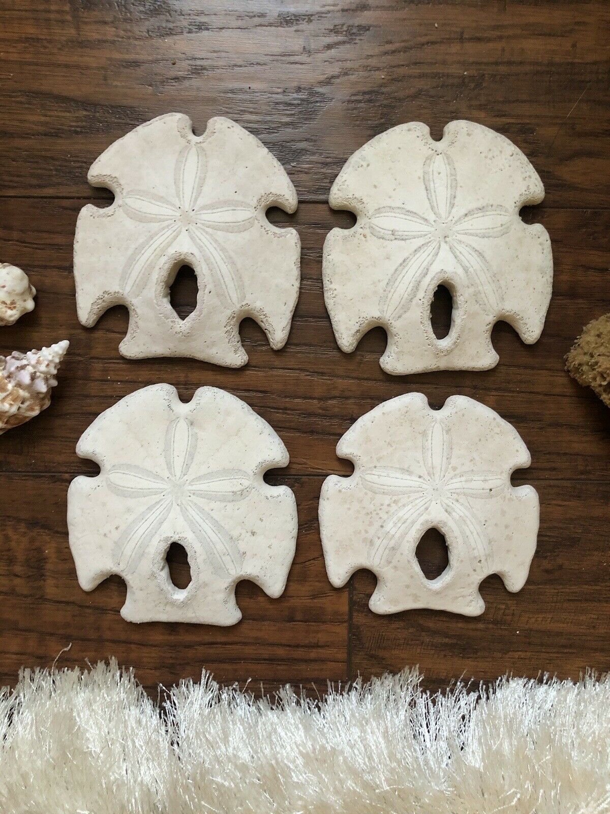 Very Large Sand Dollars, 4 Inch+ Diameter, Set/lot Of Four.